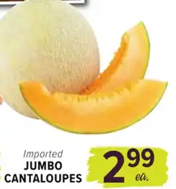 Cermak Fresh Market JUMBO CANTALOUPE offer