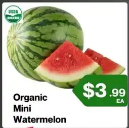 Market Place on Oakton Organic Mini Watermelon offer