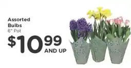 Kroger Assorted Bulbs offer