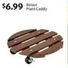 Aldi Belavi Plant Caddy offer