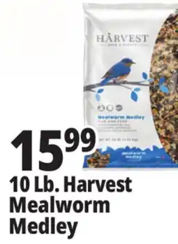Ocean State Job Lot 10 Lb. Harvest Mealworm Medley offer