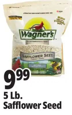 Ocean State Job Lot Wagner's Safflower Seed Deluxe Wild Bird Food offer