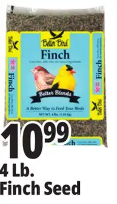 Ocean State Job Lot 4 Lb. Finch Seed offer
