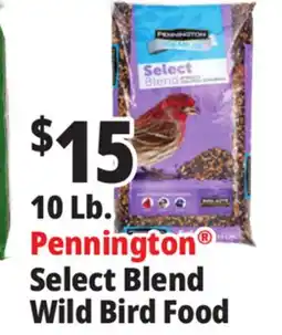 Ocean State Job Lot 10 Lb. Pennington Select Blend Wild Bird Food offer