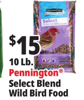 Ocean State Job Lot 10 Lb. Pennington Select Blend Wild Bird Food offer
