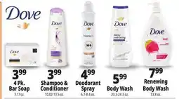 Ocean State Job Lot Dove Products offer