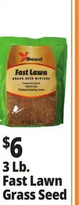 Ocean State Job Lot X-Seed Fast Lawn Grass Seed Mixture 3 lbs offer