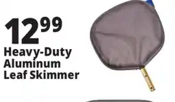 Ocean State Job Lot SwimWorks Heavy-Duty Aluminum Leaf Skimmer offer