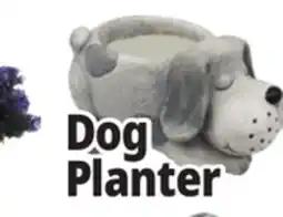 Ocean State Job Lot Dog Planter offer