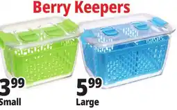 Ocean State Job Lot Berry Keepers offer