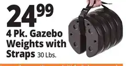 Ocean State Job Lot 4 Pk. Gazebo Weights with Straps offer