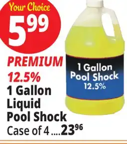 Ocean State Job Lot Liquid Pool Shock 1 Gal offer