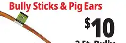 Ocean State Job Lot 3 Ft. Bully Stick offer