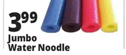 Ocean State Job Lot 55 Jumbo Pool Noodle offer