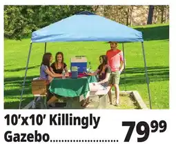 Ocean State Job Lot 10'x10' Killingly Gazebo offer