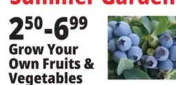 Ocean State Job Lot Grow Your Own Fruits & Vegetables offer