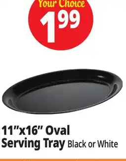 Ocean State Job Lot 11x16 Oval Serving Tray offer
