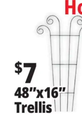 Ocean State Job Lot 48x16 Trellis offer