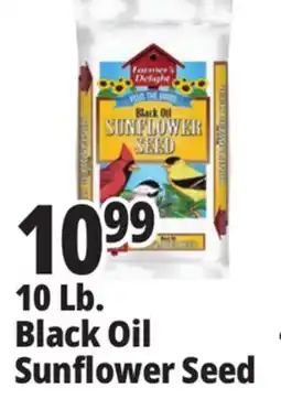 Ocean State Job Lot 10 Lb. Black Oil Sunflower Seed offer