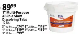 Ocean State Job Lot 1 Multi-Purpose All-in-1 Slow Dissolving Tabs offer