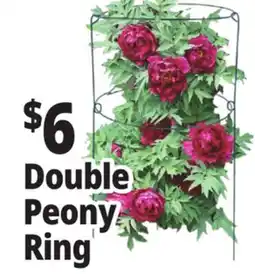 Ocean State Job Lot Peony Double Ring Plant Support 18 x 36 offer