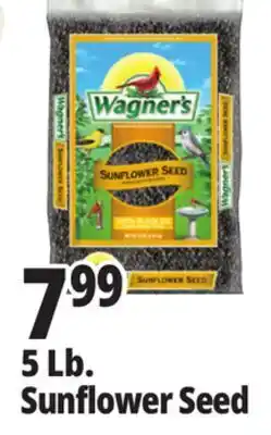 Ocean State Job Lot Wagner's Black Oil Sunflower Seed Wild Bird Food 5 lbs offer
