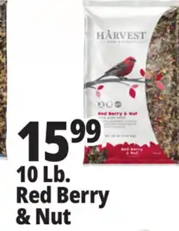 Ocean State Job Lot Harvest Seed & Supply Red Berry & Nut Wild Bird Food 10 lb offer
