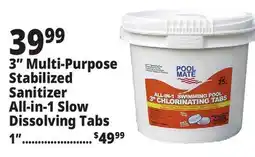 Ocean State Job Lot Pool Mate All-In-One 3 Chlorinating Tabs 5 lbs offer
