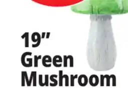 Ocean State Job Lot 19 Green Mushroom offer