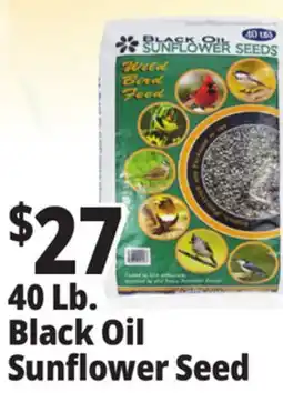 Ocean State Job Lot Black Oil Sunflower Seeds 40 lbs offer
