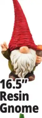 Ocean State Job Lot Outdoor Living Accents Resin Garden Gnome 16.5 offer