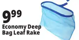 Ocean State Job Lot SwimWorks Economy Deep Bag Leaf Rake offer