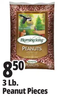 Ocean State Job Lot Audubon Peanut Pieces Bird Seed 3lb offer