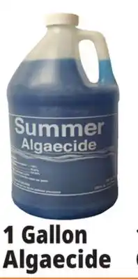 Ocean State Job Lot 1 Gallon Algaecide offer