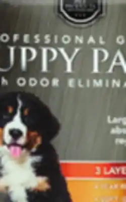 Ocean State Job Lot Huntington Pet Products Professional Grade 27.5 x 35 Puppy Pads with Odor Eliminators 40 Count offer