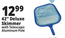 Ocean State Job Lot SwimWorks Leaf Skimmer with Telescopic Pole offer