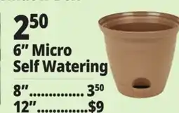 Ocean State Job Lot 6 Micro Self Watering offer