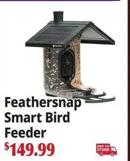 Ocean State Job Lot Feathersnap Smart Bird Feeder offer
