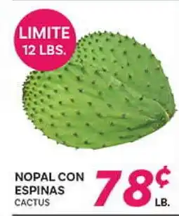 El Paso Grande NOPAL CON ESPINAS CACTUS offer