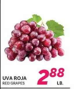 El Paso Grande UVA ROJA offer