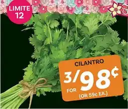 El Paso Grande CILANTRO offer