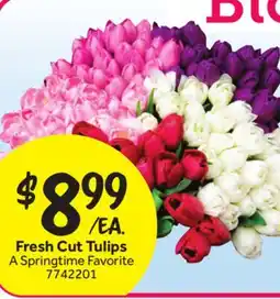 Stop&Shop Fresh Cut Tulips offer