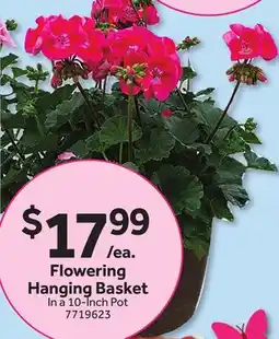 Stop&Shop Flowering Hanging Basket offer