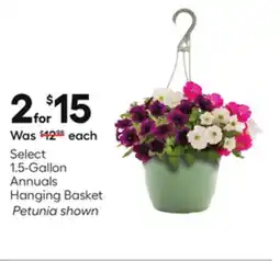 Lowe's Select 1.5-Gallon Annuals Hanging Basket offer