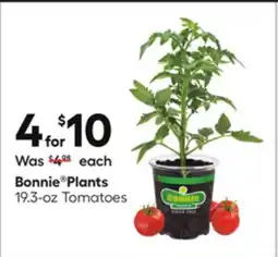 Lowe's Bonnie Plants 19.3-oz Tomatoes offer