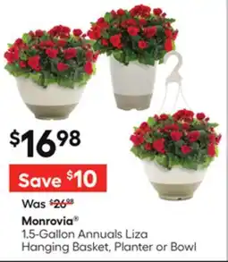 Lowe's 1.5-Gallon Annuals Liza Hanging Basket, Planter or Bowl offer