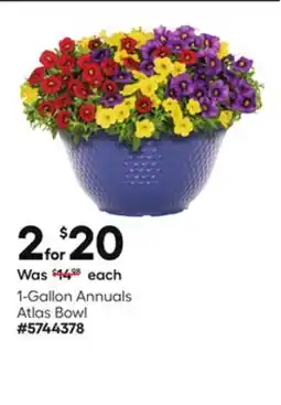 Lowe's 1-Gallon Annuals Atlas Bowl offer