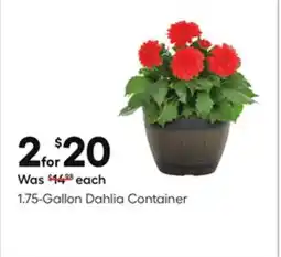 Lowe's 1.75-Gallon Dahlia Container offer
