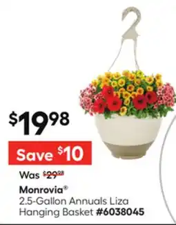 Lowe's Monrovia 2.5-Gallon Annuals Liza Hanging Basket offer
