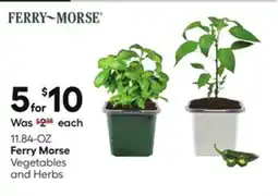 Lowe's Vegetables and Herbs offer